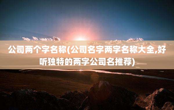 公司两个字名称(公司名字两字名称大全,好听独特的两字公司名推荐)