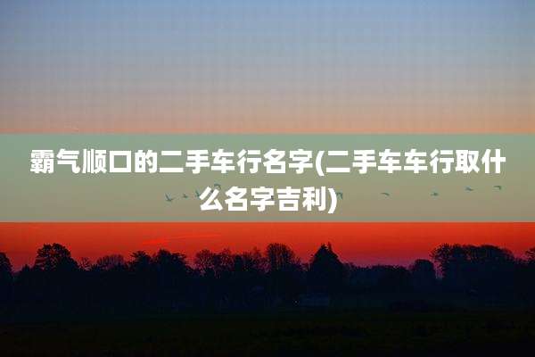 霸气顺口的二手车行名字(二手车车行取什么名字吉利)