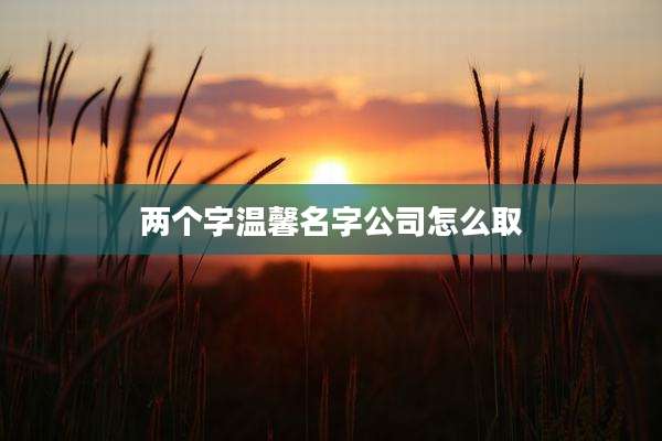 两个字温馨名字公司怎么取