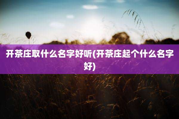 开茶庄取什么名字好听(开茶庄起个什么名字好)