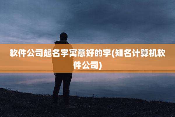 软件公司起名字寓意好的字(知名计算机软件公司)