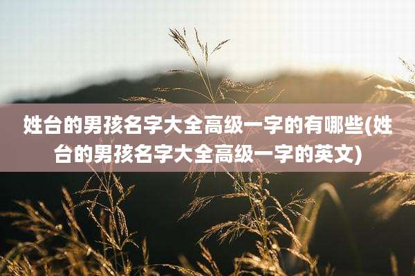 姓台的男孩名字大全高级一字的有哪些(姓台的男孩名字大全高级一字的英文)