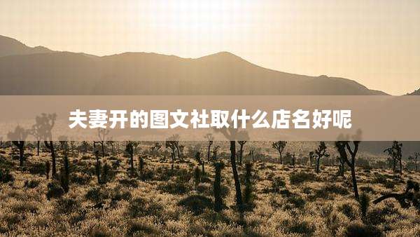 夫妻开的图文社取什么店名好呢