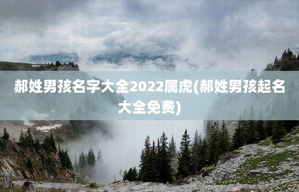 郝姓男孩名字大全2022属虎(郝姓男孩起名大全免费)