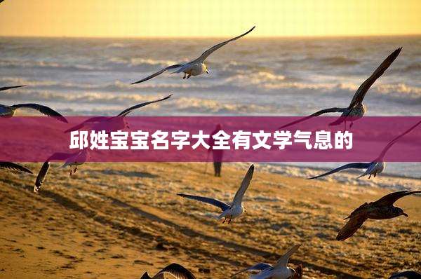 邱姓宝宝名字大全有文学气息的