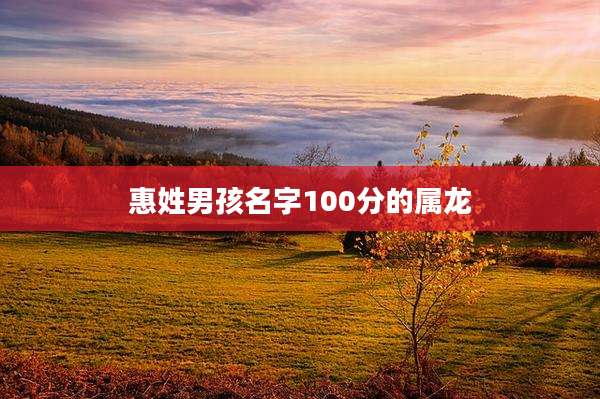 惠姓男孩名字100分的属龙