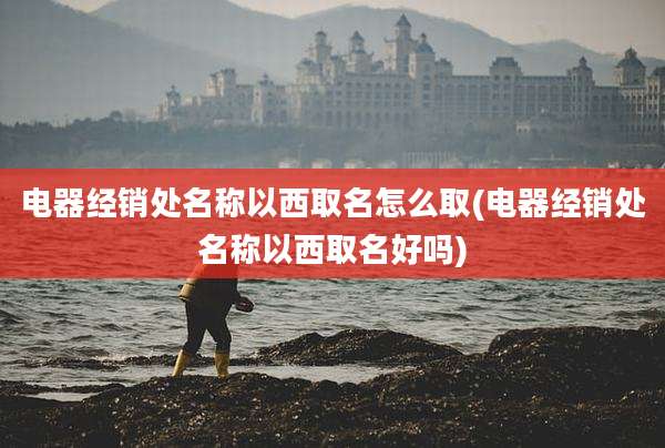 电器经销处名称以西取名怎么取(电器经销处名称以西取名好吗)