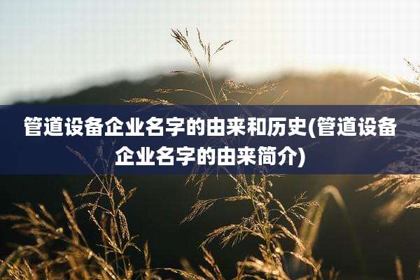 管道设备企业名字的由来和历史(管道设备企业名字的由来简介)