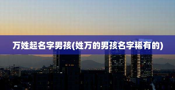 万姓起名字男孩(姓万的男孩名字稀有的)