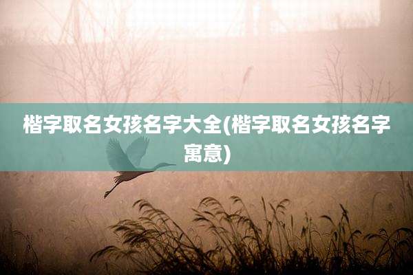 楷字取名女孩名字大全(楷字取名女孩名字寓意)