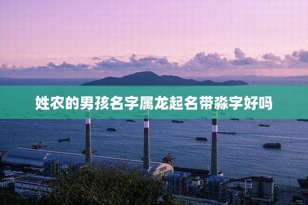 姓农的男孩名字属龙起名带淼字好吗