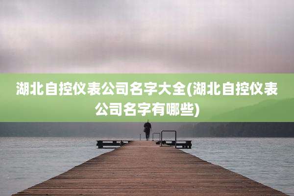 湖北自控仪表公司名字大全(湖北自控仪表公司名字有哪些)