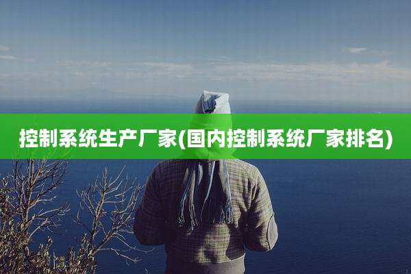 控制系统生产厂家(国内控制系统厂家排名)