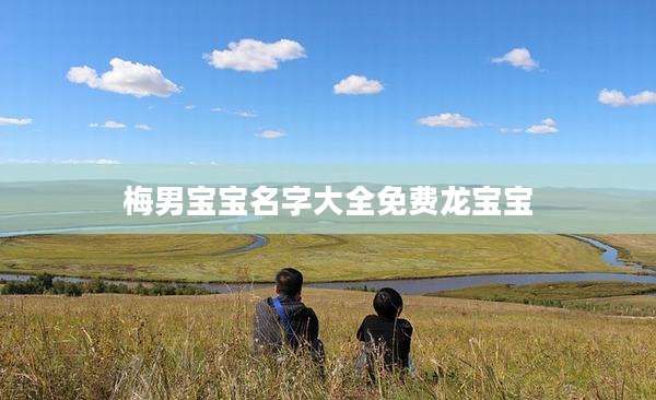 梅男宝宝名字大全免费龙宝宝