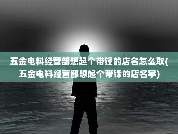 五金电料经营部想起个带锋的店名怎么取(五金电料经营部想起个带锋的店名字)