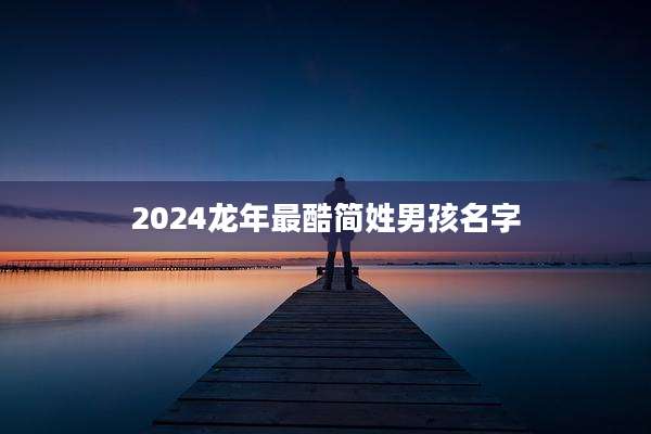 2024龙年最酷简姓男孩名字