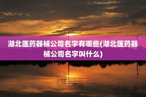 湖北医药器械公司名字有哪些(湖北医药器械公司名字叫什么)