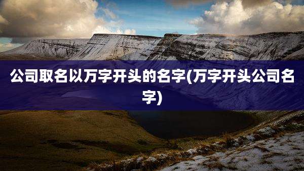 公司取名以万字开头的名字(万字开头公司名字)