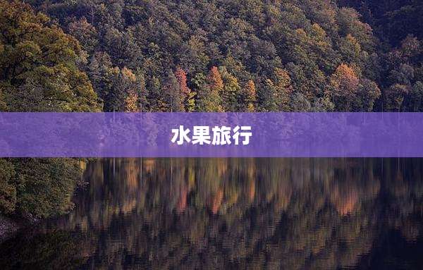 水果旅行