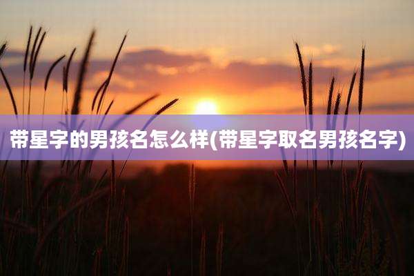 带星字的男孩名怎么样(带星字取名男孩名字)