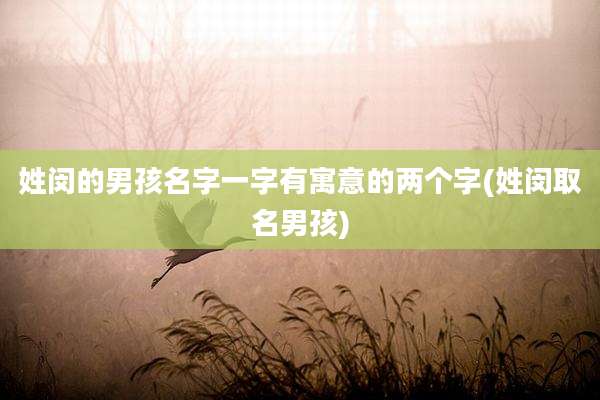 姓闵的男孩名字一字有寓意的两个字(姓闵取名男孩)