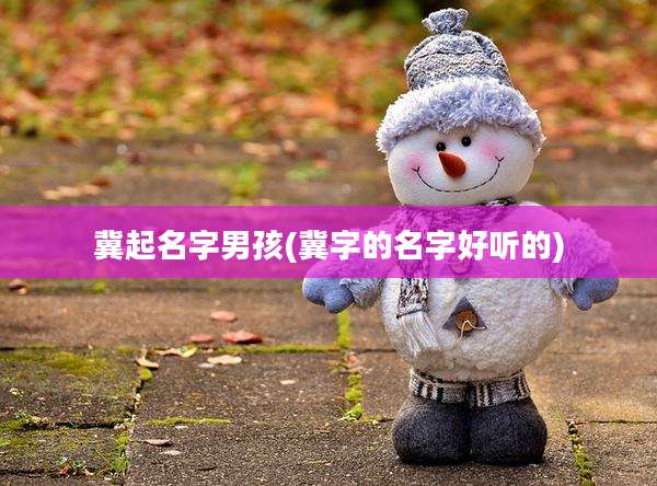 冀起名字男孩(冀字的名字好听的)