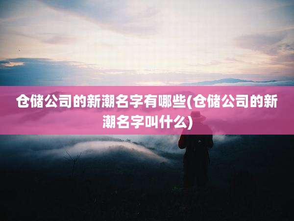 仓储公司的新潮名字有哪些(仓储公司的新潮名字叫什么)