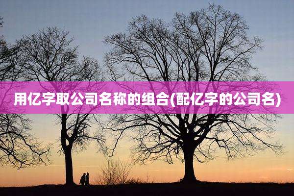 用亿字取公司名称的组合(配亿字的公司名)