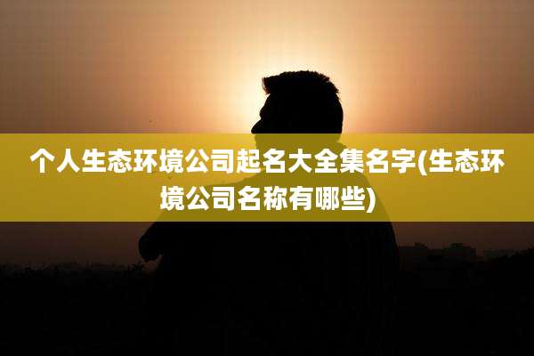 个人生态环境公司起名大全集名字(生态环境公司名称有哪些)