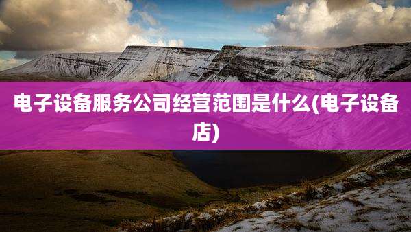 电子设备服务公司经营范围是什么(电子设备店)