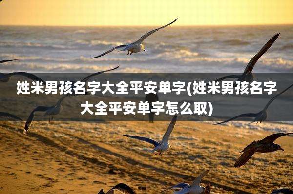 姓米男孩名字大全平安单字(姓米男孩名字大全平安单字怎么取)