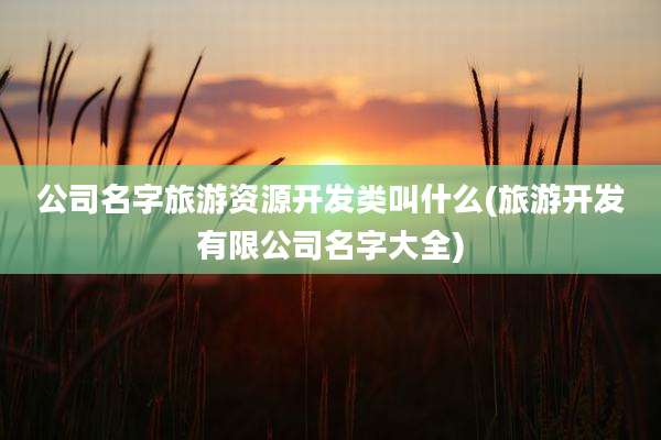 公司名字旅游资源开发类叫什么(旅游开发有限公司名字大全)