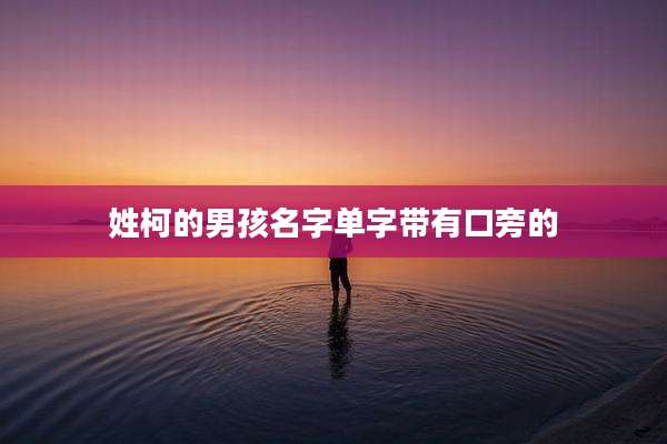 姓柯的男孩名字单字带有口旁的