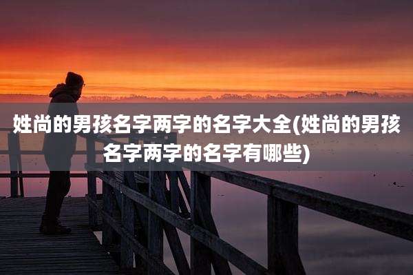 姓尚的男孩名字两字的名字大全(姓尚的男孩名字两字的名字有哪些)