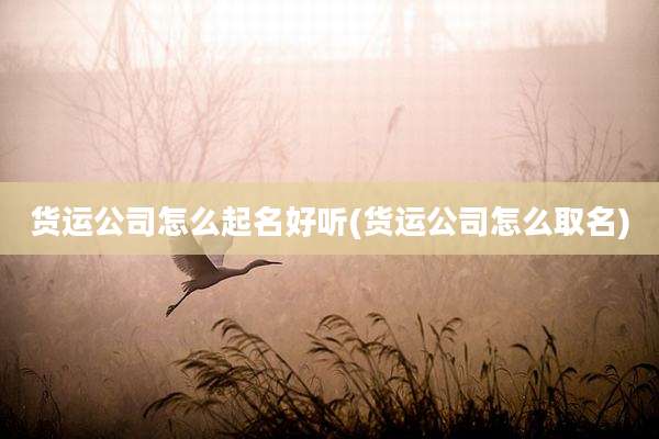 货运公司怎么起名好听(货运公司怎么取名)