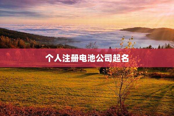 个人注册电池公司起名