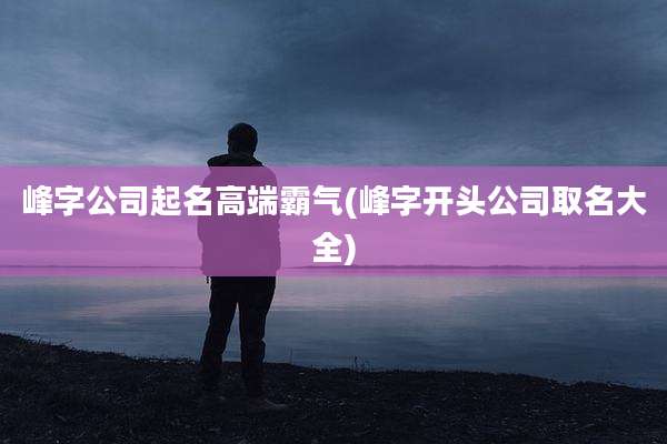 峰字公司起名高端霸气(峰字开头公司取名大全)