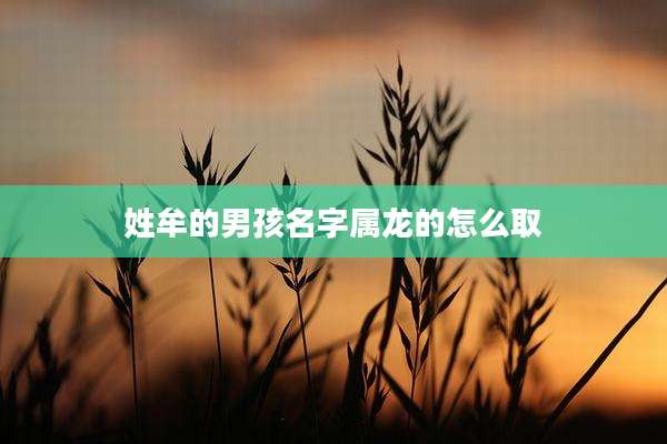 姓牟的男孩名字属龙的怎么取