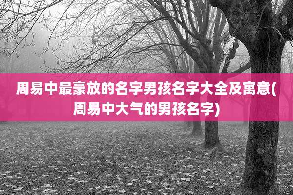 周易中最豪放的名字男孩名字大全及寓意(周易中大气的男孩名字)