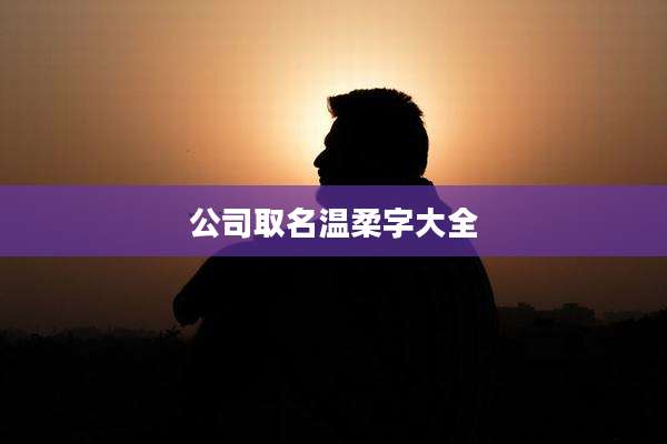 公司取名温柔字大全