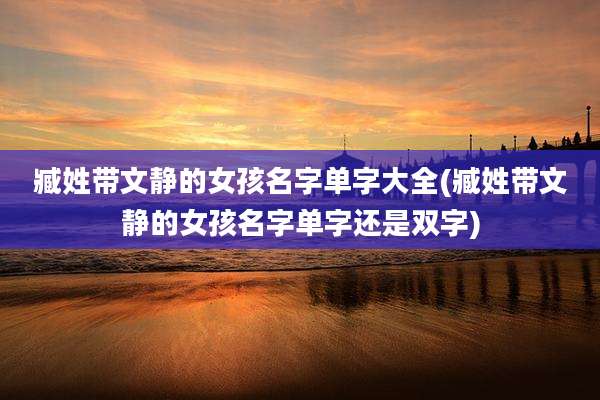 臧姓带文静的女孩名字单字大全(臧姓带文静的女孩名字单字还是双字)
