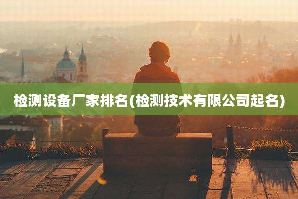 检测设备厂家排名(检测技术有限公司起名)