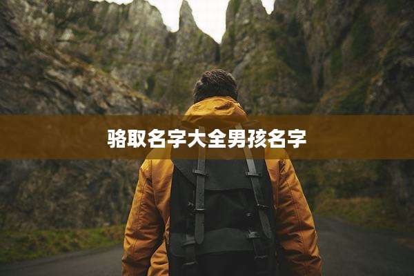骆取名字大全男孩名字