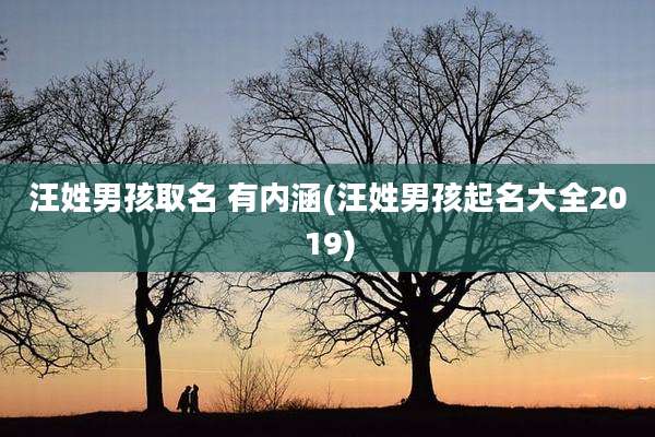 汪姓男孩取名 有内涵(汪姓男孩起名大全2019)