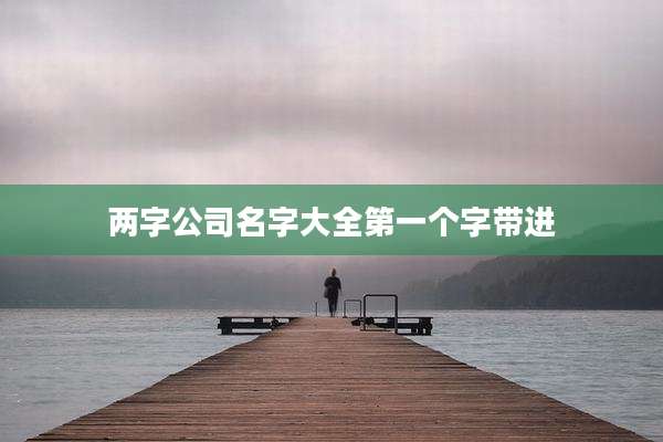 两字公司名字大全第一个字带进