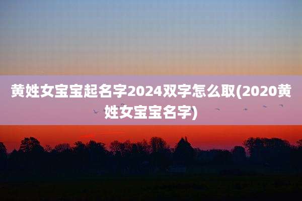 黄姓女宝宝起名字2024双字怎么取(2020黄姓女宝宝名字)