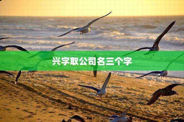 兴字取公司名三个字