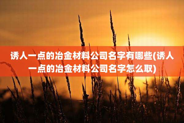 诱人一点的冶金材料公司名字有哪些(诱人一点的冶金材料公司名字怎么取)