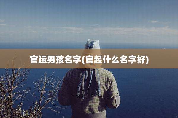 官运男孩名字(官起什么名字好)