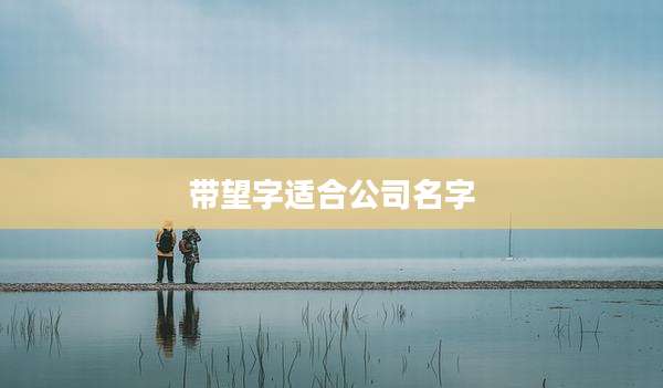 带望字适合公司名字